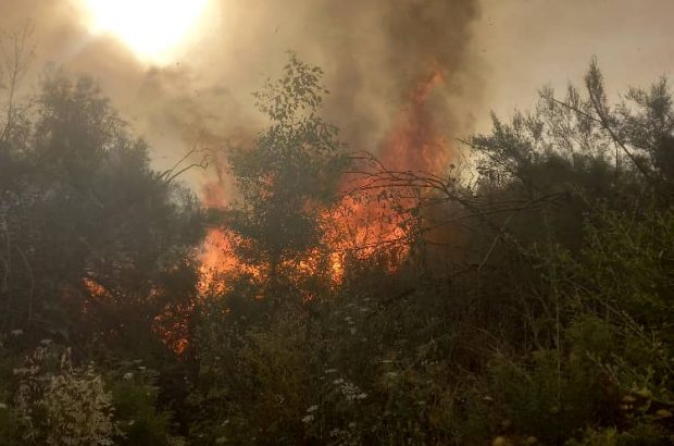 مهار آتش در جنگل روستای مهدی آباد شوشتر