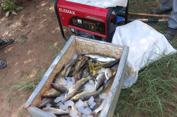 کشف تخلف صید ماهی در گشت مشترک یگان حفاظت محیط زیست شوشتر و گتوند