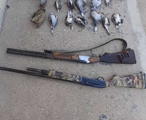 دستگیری سه گروه شکارچی غیرمجاز در شوشتر