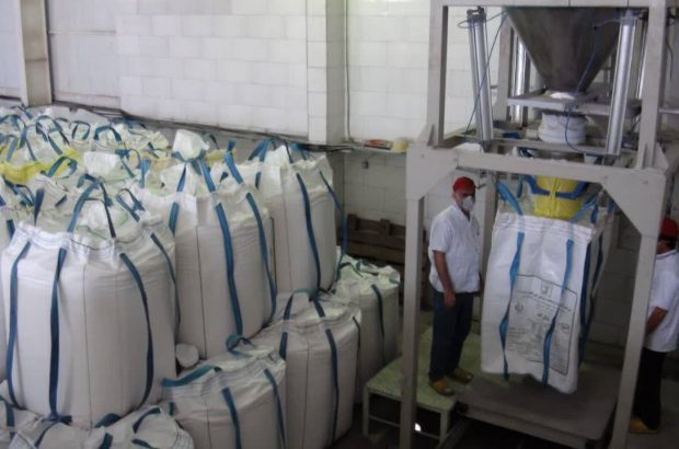 برای اولین بار؛ رکورد روزانه تصفیه شکر در صنعت نیشکر شکسته شد/دکتر ناصری: تاکنون ۱۶۷ هزار تن شکر در واحدهای هشتگانه تولید شده است