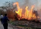 مهار آتش سوزی در حاشیه جاده مقابل ورودی شهر جنت مکان
