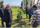 برگزاری مراسم روز درختکاری در شهر ترکالکی