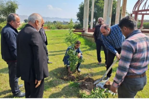 برگزاری مراسم روز درختکاری در شهر ترکالکی