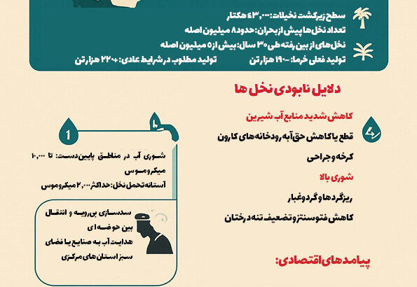نخل‌هایی که بی‌صدا می‌میرند…