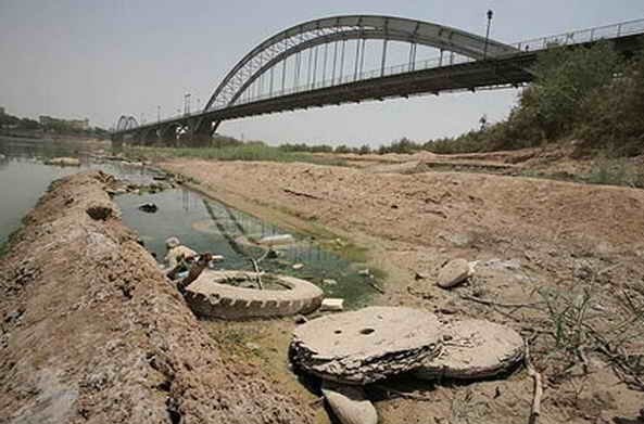 بحران خاموش در زاگرس: زخمی که سرشاخه‌های کارون تاب نمی‌آورند