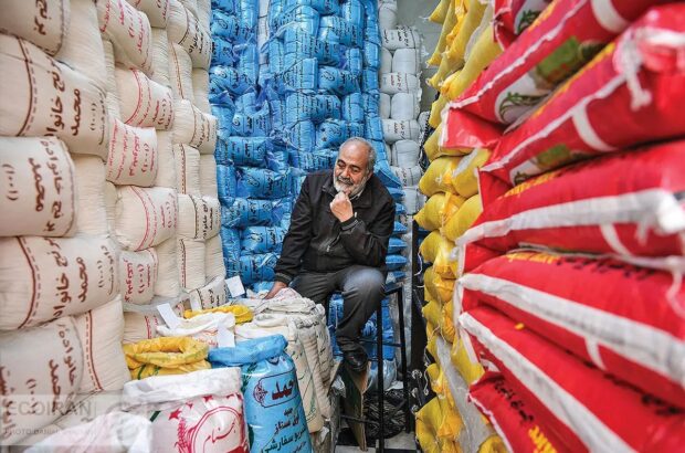 بحران برنج؛ از احتکار در انبارها تا ممنوعیت کشت در خوزستان