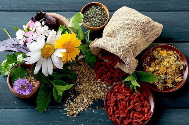 خوزستان با تولید ۳۰ گونه گیاه دارویی رتبه نخست کشور در تولید این گیاهان