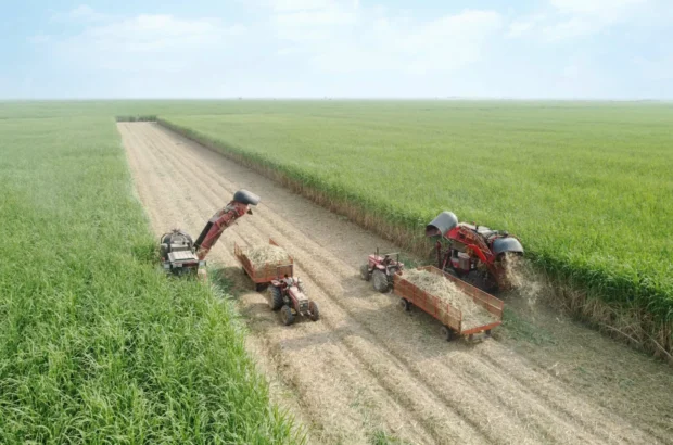 برداشت نیشکر از ابتدای فصل، ۱۰۰ درصد سبز انجام شده است/ امسال ناوگان برداشت نیشکر با ۹ هاروستر جدید تقویت شد برداشت نیشکر از ابتدای فصل، ۱۰۰ درصد سبز انجام شده است/ امسال ناوگان برداشت نیشکر با ۹ هاروستر جدید تقویت شد