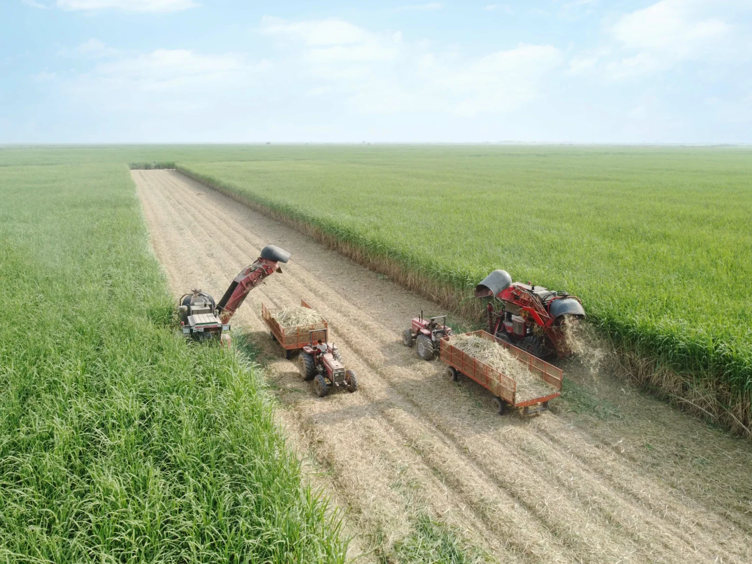 برداشت نیشکر از ابتدای فصل، ۱۰۰ درصد سبز انجام شده است/ امسال ناوگان برداشت نیشکر با ۹ هاروستر جدید تقویت شد