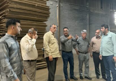  بررسی چالش‌های تولید و قطعی‌های مکرر برق / معیشت کارگران در گرو تداوم فعالیت صنایع